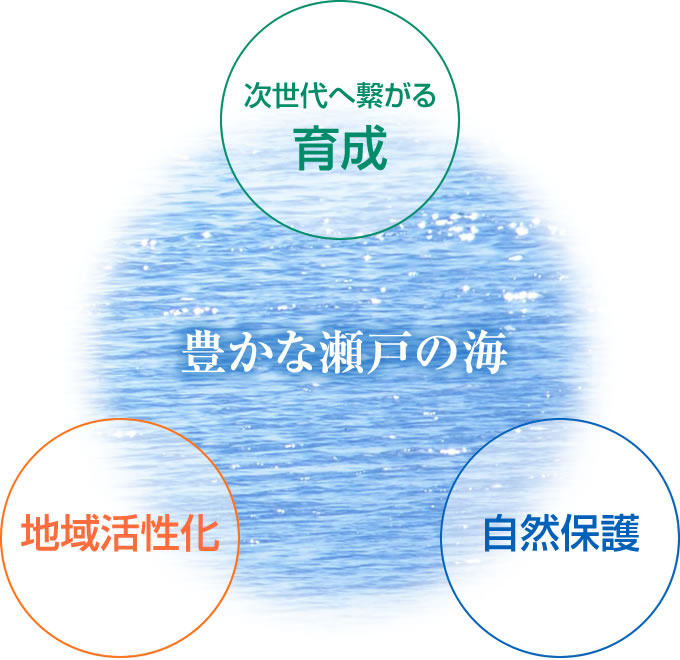 豊かな瀬戸の海
次世代へ繋がる育成、地域活性化、自然保護